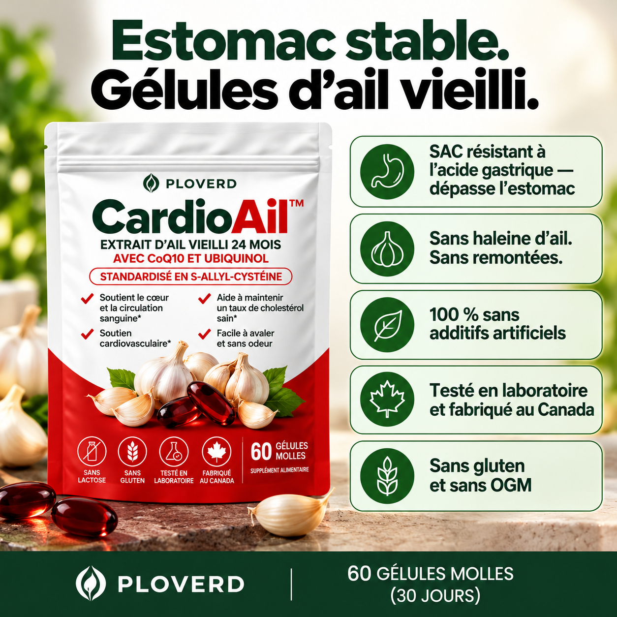 PLOVERD CardioAil™ – Extrait d'ail vieilli pendant 24 mois avec CoQ10 et vitamine K2